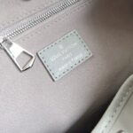 LV CarryAll 货物 - Image 15